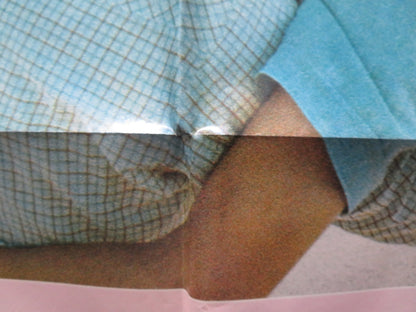 THE OTHER SIDE OF THE MOUNTAIN PART 2 FOLDED US ONE SHEET POSTER M. HASSETT 1978 - Rendezvous Cinema