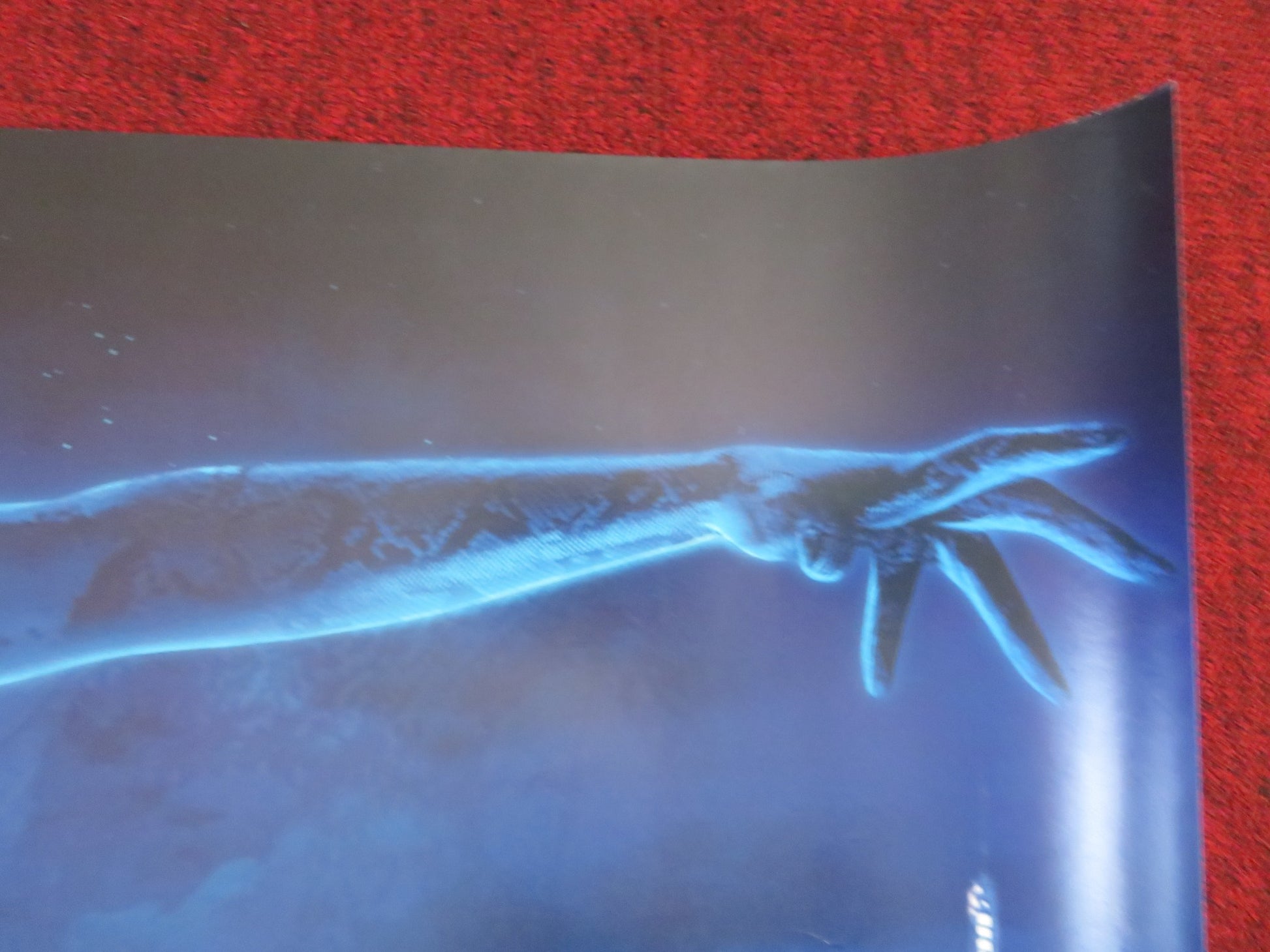 ENCHANTED UK QUAD (30"x 40") ROLLED POSTER DISNEY AMY ADAMS PATRICK DEMPSEY 2007 - Rendezvous Cinema