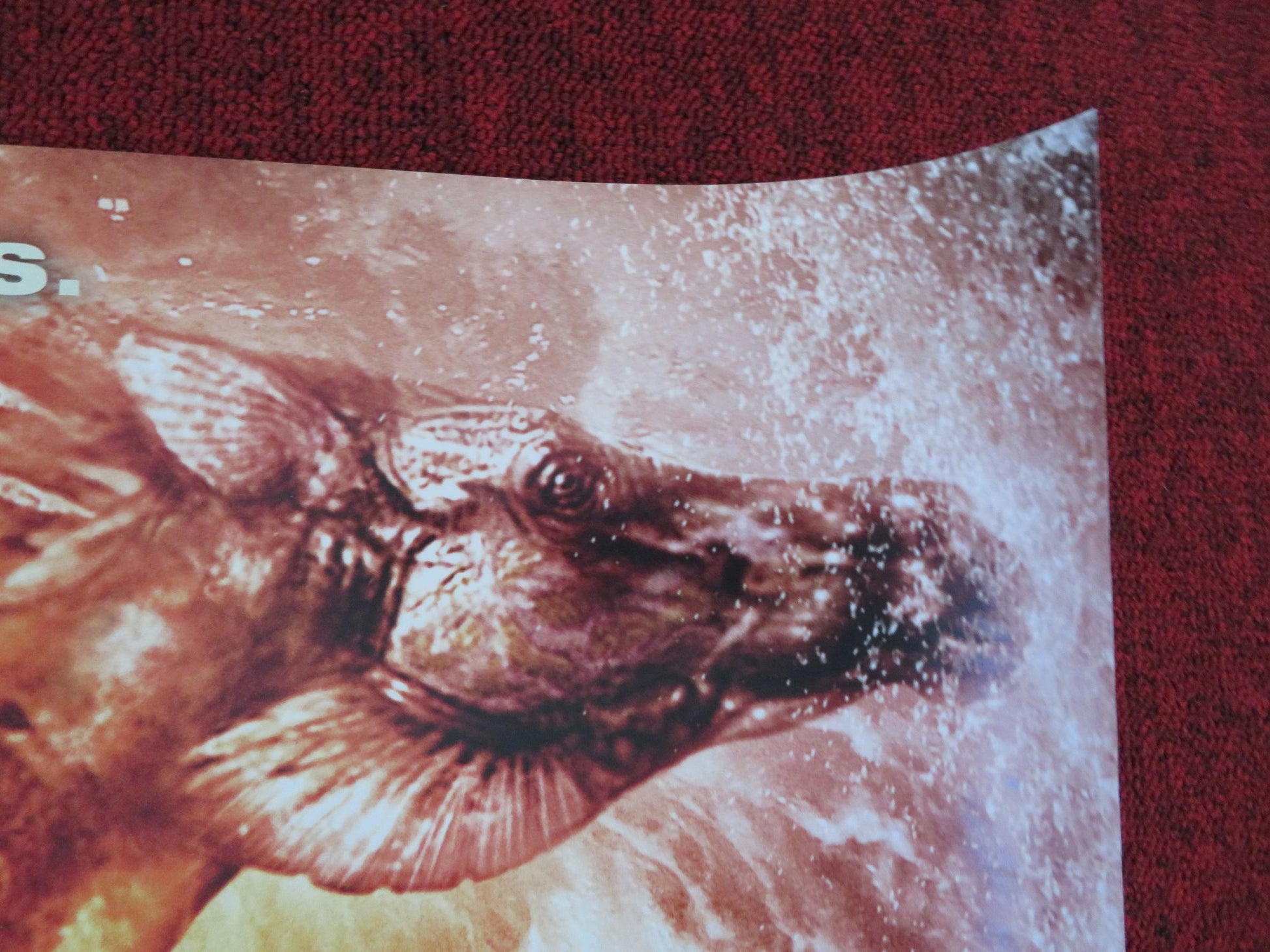 PERCY JACKSON: SEA OF MONSTERS UK QUAD (30"x 40") ROLLED POSTER 2013 - Rendezvous Cinema