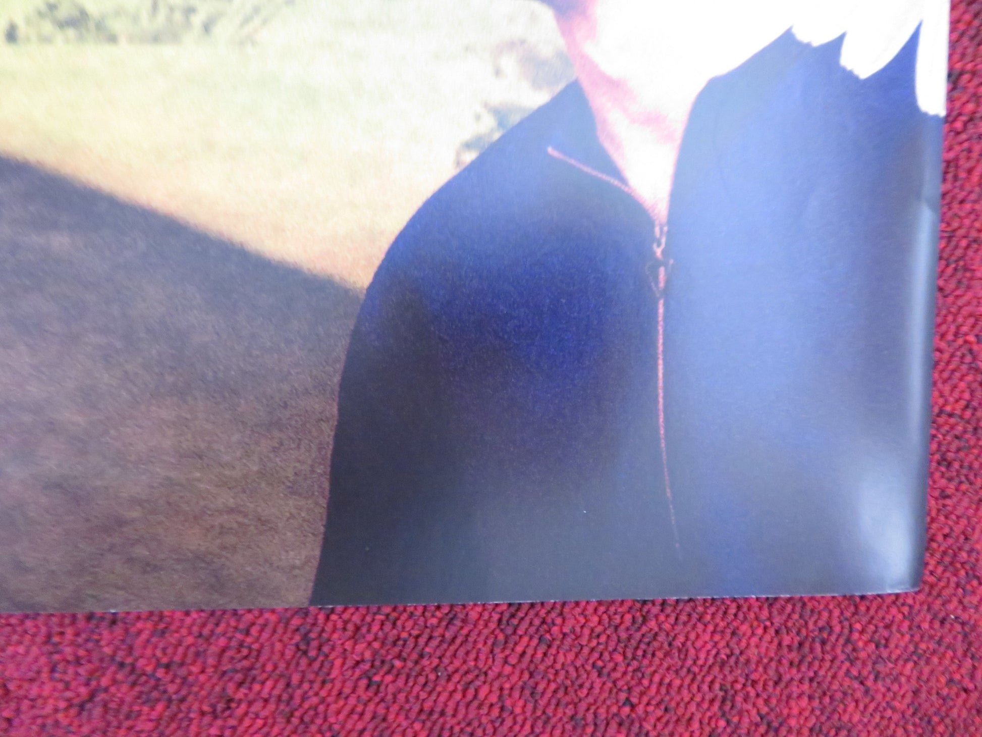 TAKING WOODSTOCK UK QUAD (30"x 40") ROLLED POSTER EUGENE LEVY I. STAUNTON 2009 - Rendezvous Cinema