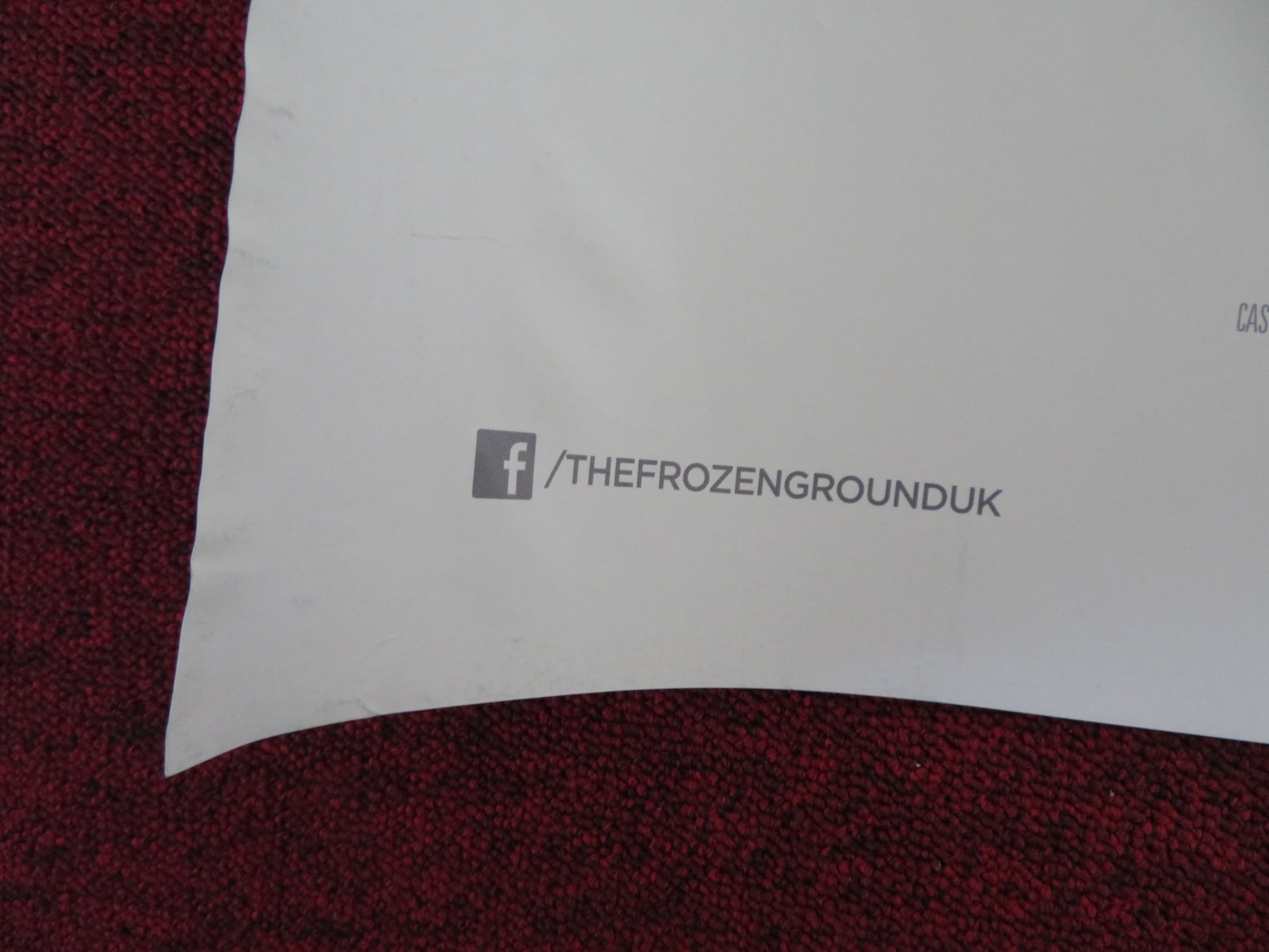 THE FROZEN GROUND UK QUAD (30"x 40") ROLLED POSTER NICOLAS CAGE JOHN CUSACK 2013 - Rendezvous Cinema