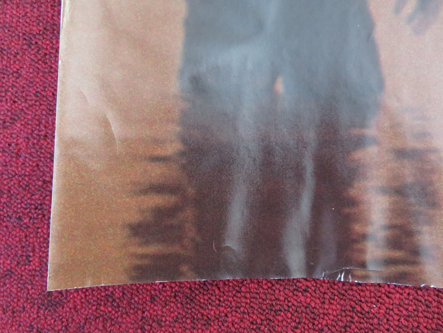 STARFISH UK QUAD (30"x 40") ROLLED POSTER JOANNE FROGATT TOM RILEY 2016 - Rendezvous Cinema