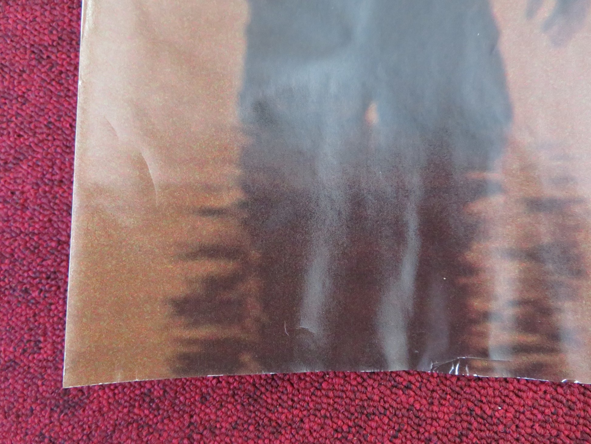 STARFISH UK QUAD (30"x 40") ROLLED POSTER JOANNE FROGATT TOM RILEY 2016 - Rendezvous Cinema