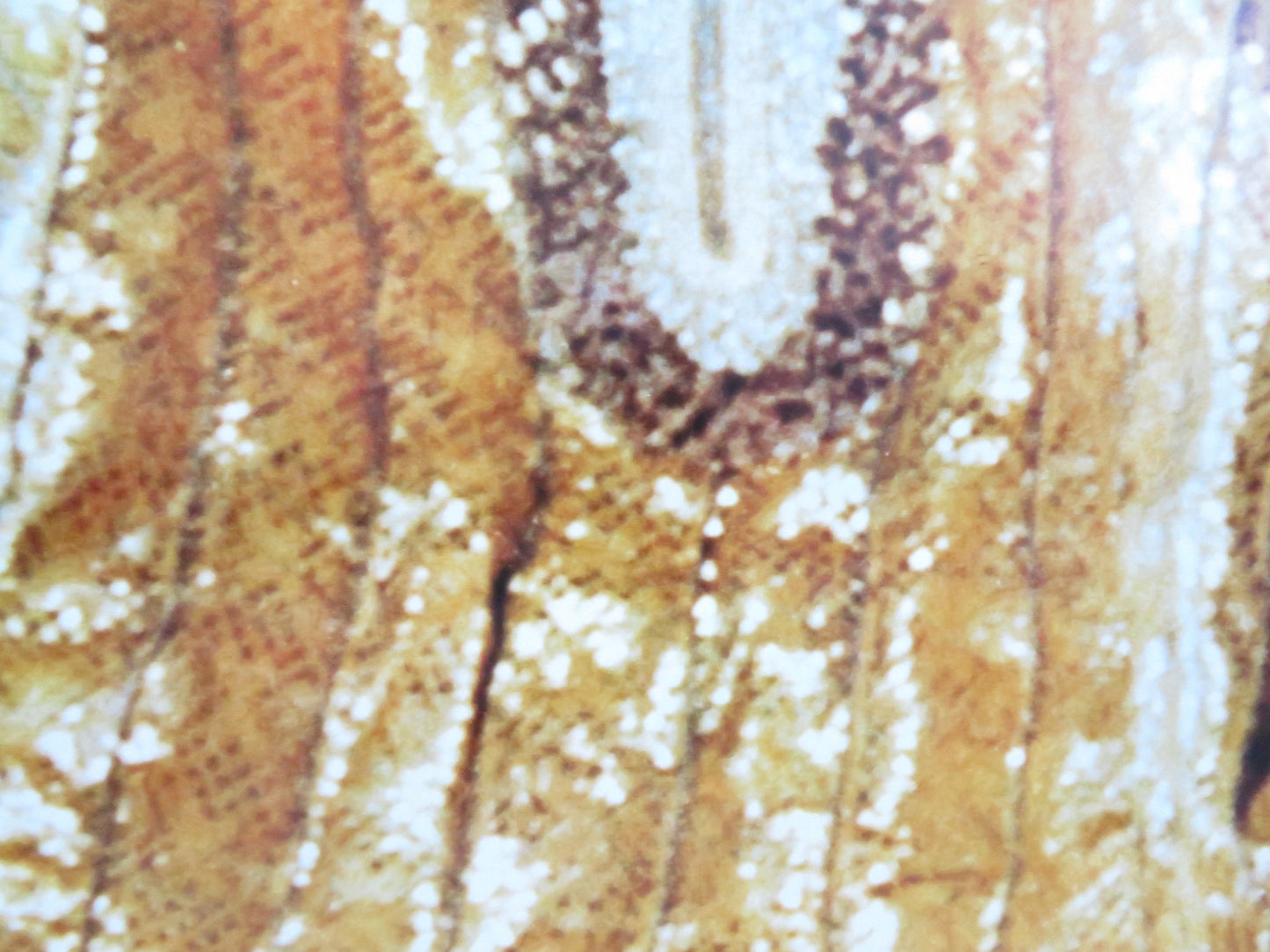 ARABIAN NIGHTS US ONE SHEET ROLLED POSTER NINETTO DAVOLI FRANCO CITTI 1974 - Rendezvous Cinema