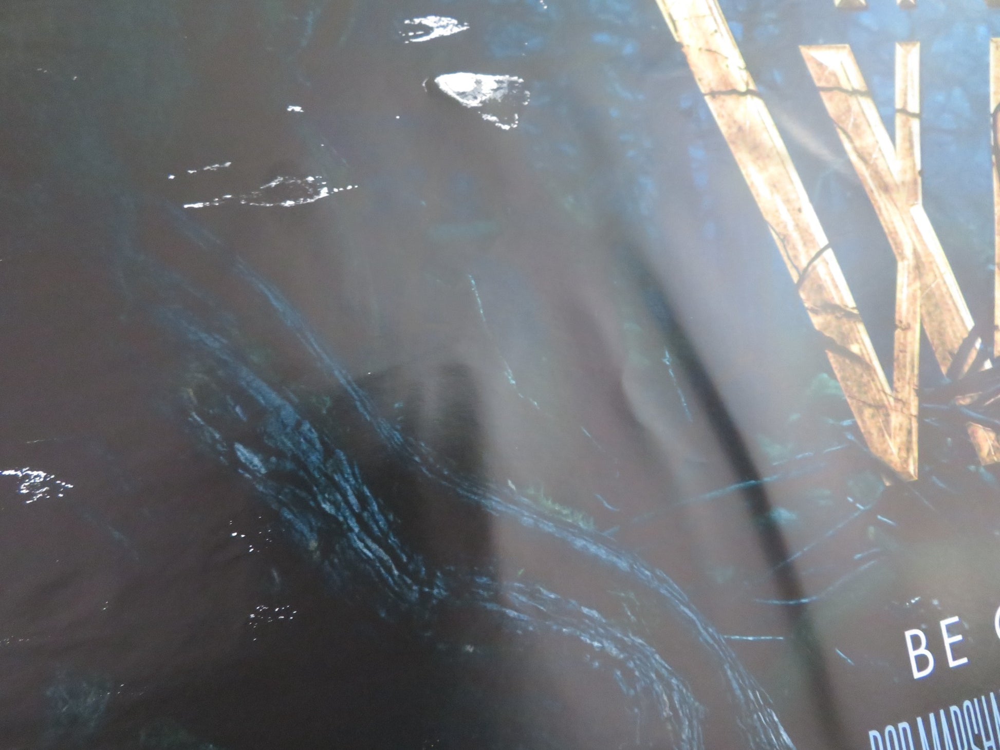 INTO THE WOODS UK QUAD (30"x 40") ROLLED POSTER DISNEY M. STREEP E. BLUNT 2014 - Rendezvous Cinema