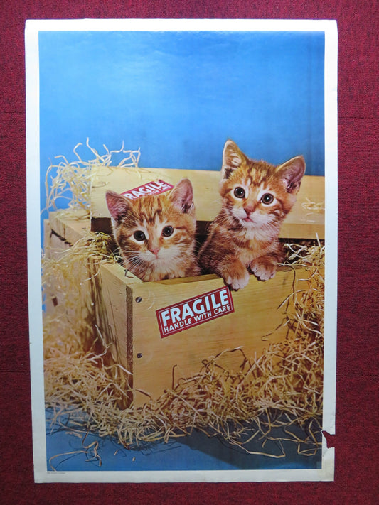 KITTENS IN BOX / MOTORBIKE CANADIAN POSTER- 2 SIDED POSTER