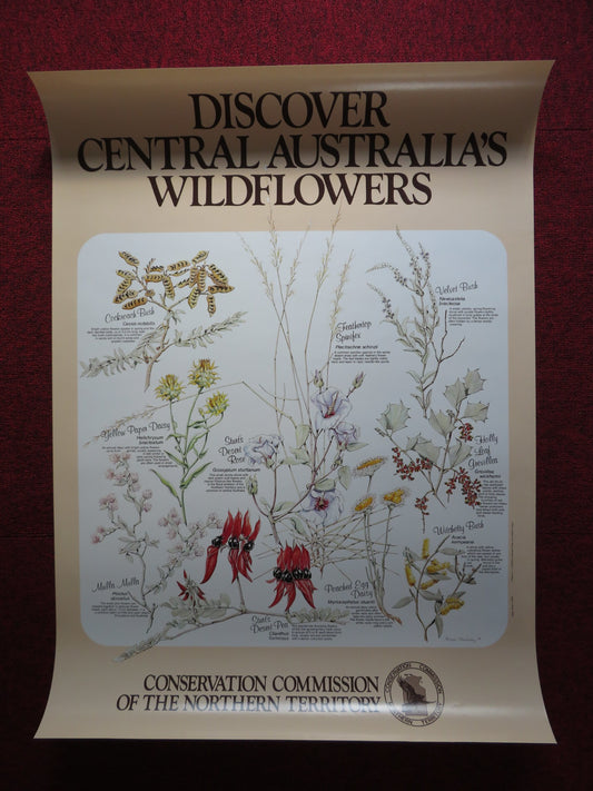 CONSERVATION POSTER - DISCOVER CENTRAL AUSTRALIA'S WILDFLOWERS