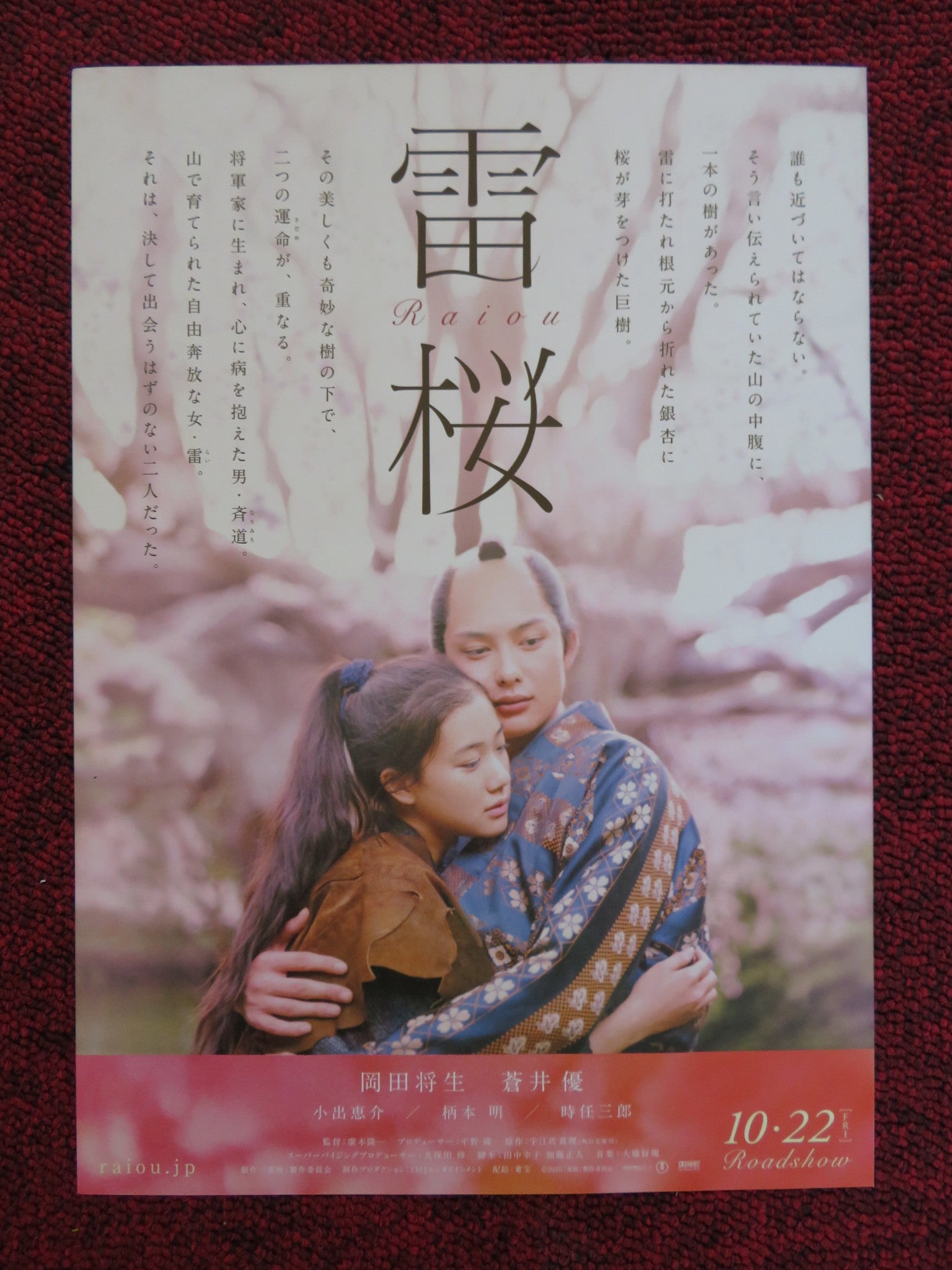 THE LIGHTNING TREE JAPANESE CHIRASHI (B5) POSTER YU AOI MASAKI OKADA 2010 - Rendezvous Cinema