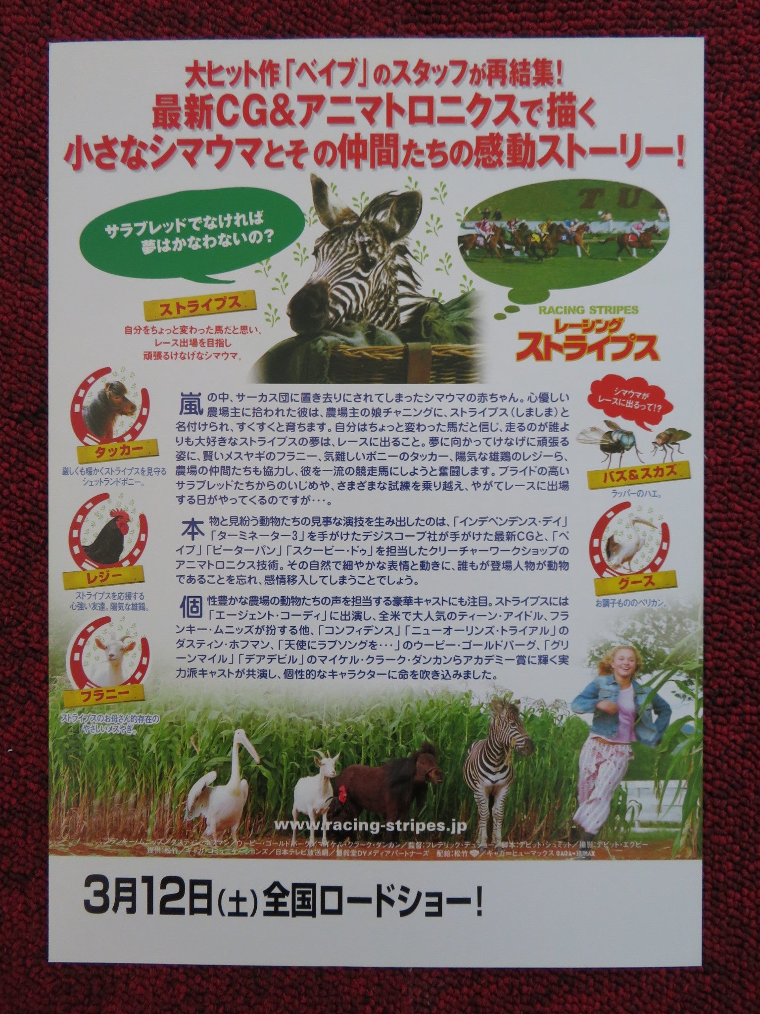 RACING STRIPES JAPANESE CHIRASHI (B5) POSTER BRUCE GREENWOOD H. PANETTIERE 2005 - Rendezvous Cinema