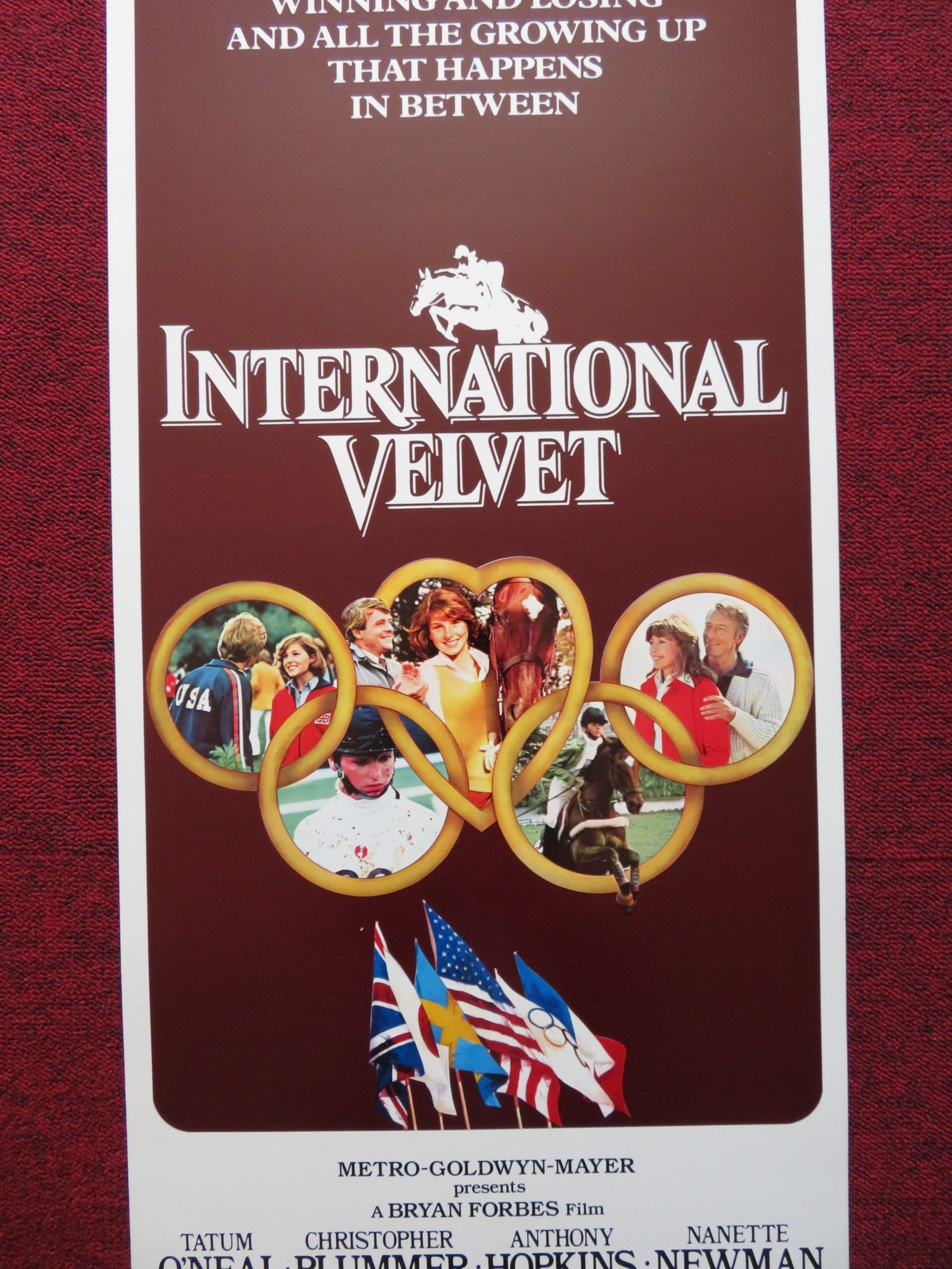INTERNATIONAL VELVET US INSERT (14"x 36") POSTER CHRISTOPHER PLUMMER 1978 - Rendezvous Cinema