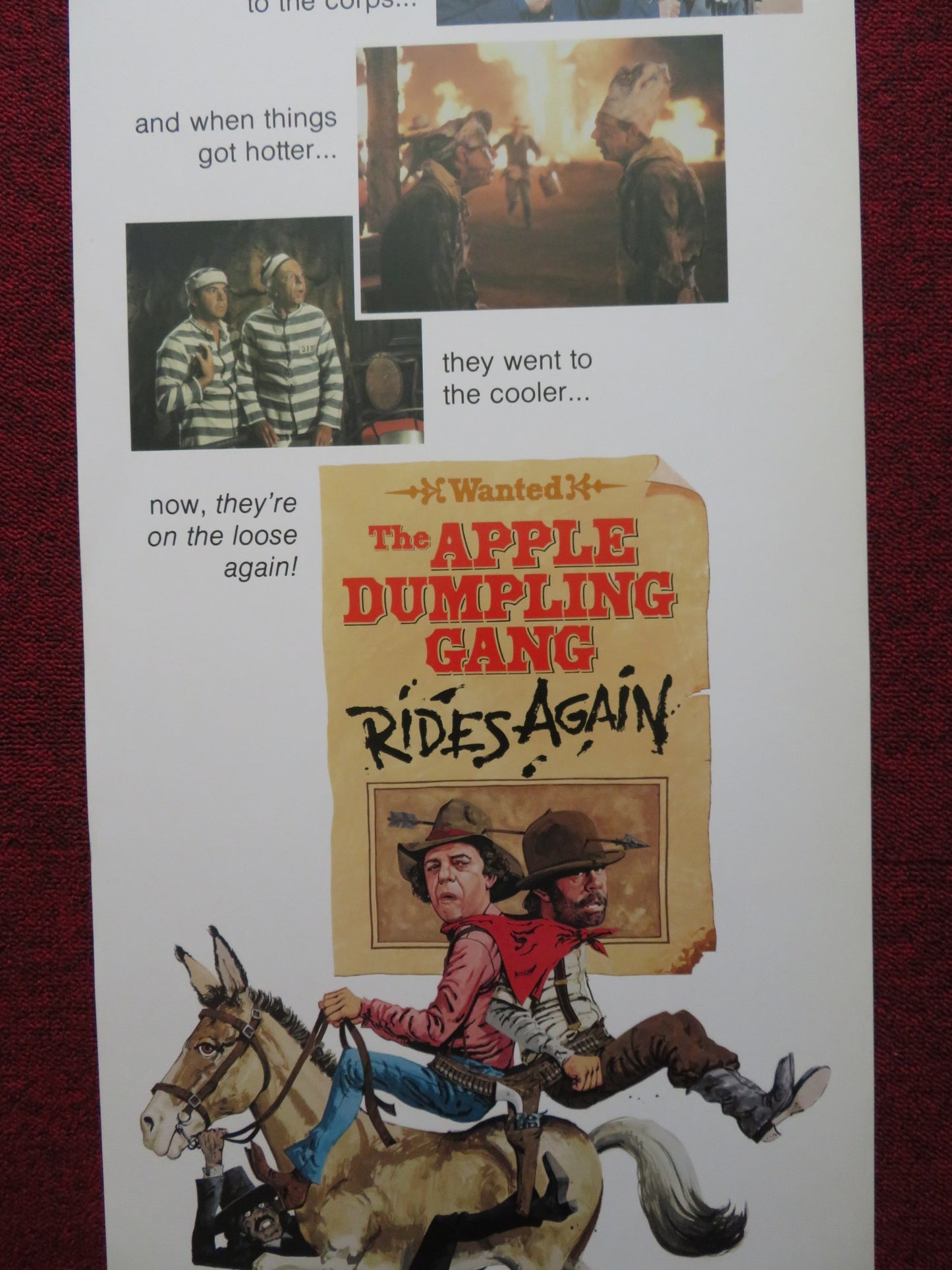 THE APPLE DUMPLING GANG RIDES AGAIN US INSERT (14"x 36") POSTER DISNEY T.CONWAY - Rendezvous Cinema