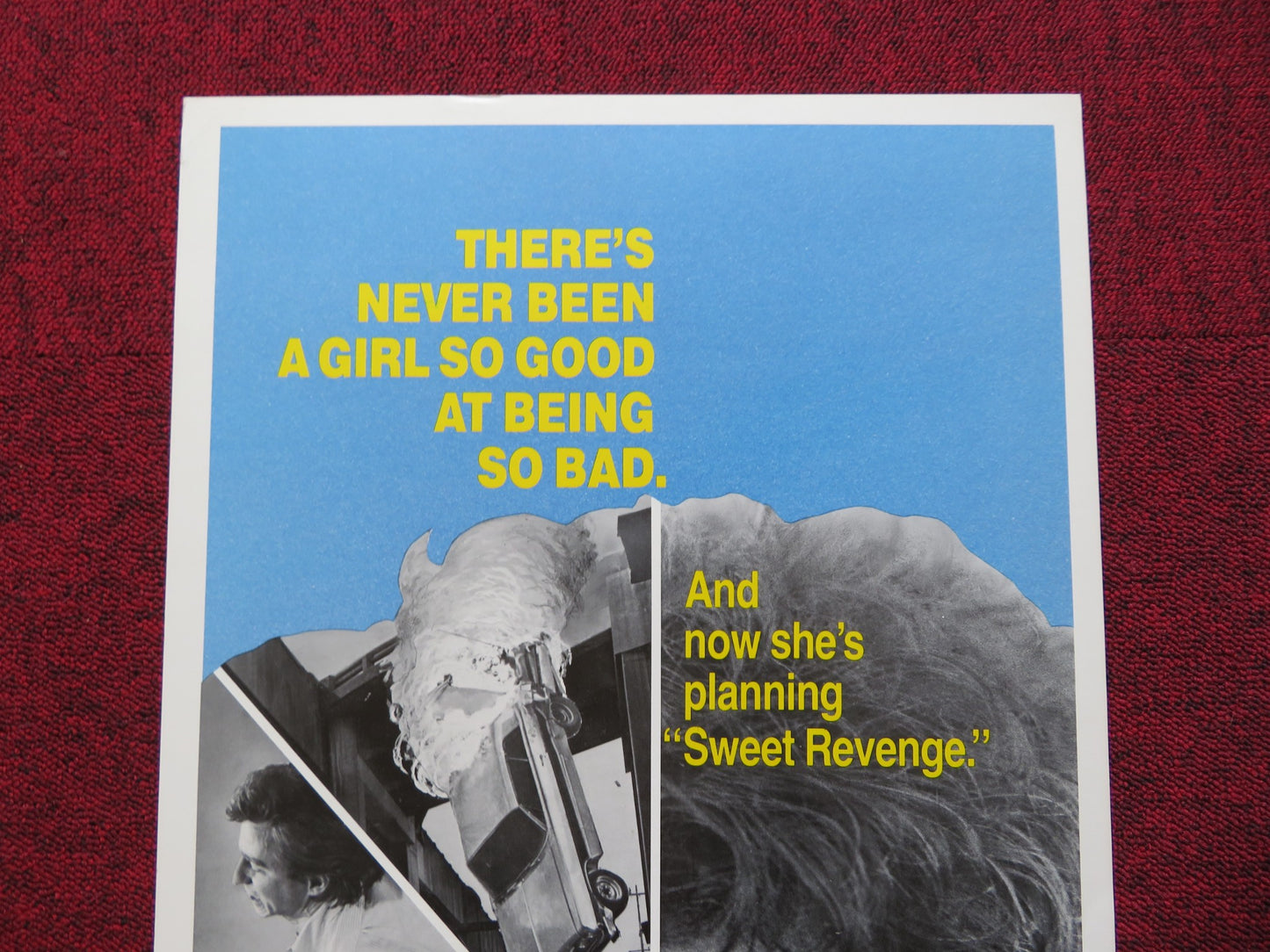 SWEET REVENGE US INSERT (14"x 36") POSTER STOCKARD CHANNING SAM WATERSTON 1977 - Rendezvous Cinema