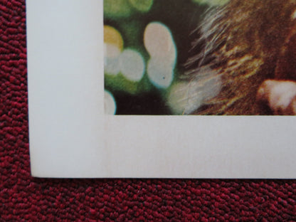 SLOW DANCING IN THE BIG CITY US HALF SHEET (22"x 28") POSTER PAUL SORVINO 1978 - Rendezvous Cinema