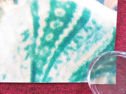 AMAZING GRACE UK QUAD (30"x 40") ROLLED POSTER ARETHA FRANKLIN CLEVELAND 2018 - Rendezvous Cinema