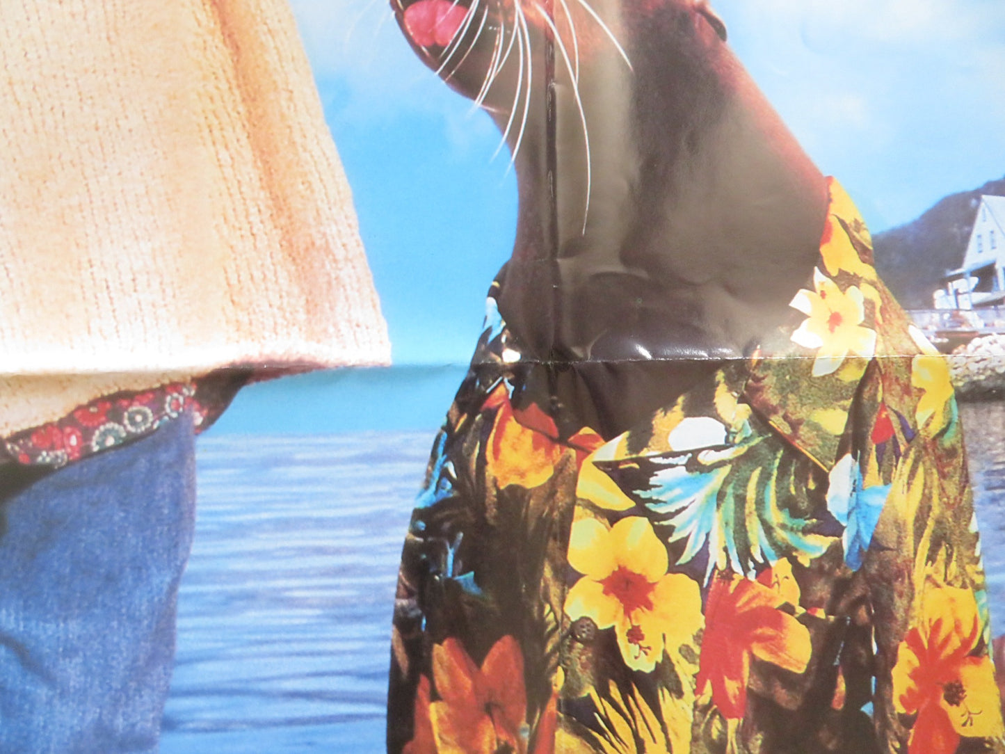 ANDRE UK QUAD POSTER FOLDED TINA MAJORINO KEITH CARRADINE 1994 - Rendezvous Cinema