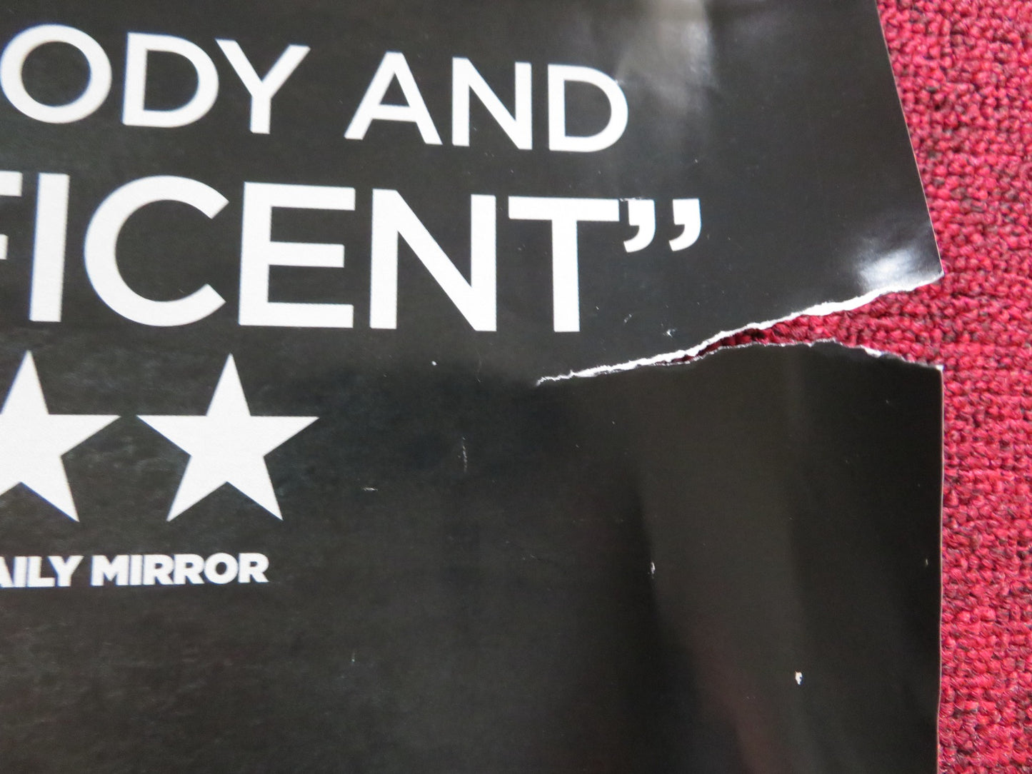 ANIMAL KINGDOM UK QUAD (30"x 40") ROLLED POSTER JOEL EDGERTON B. MENDELSOHN 2010 - Rendezvous Cinema