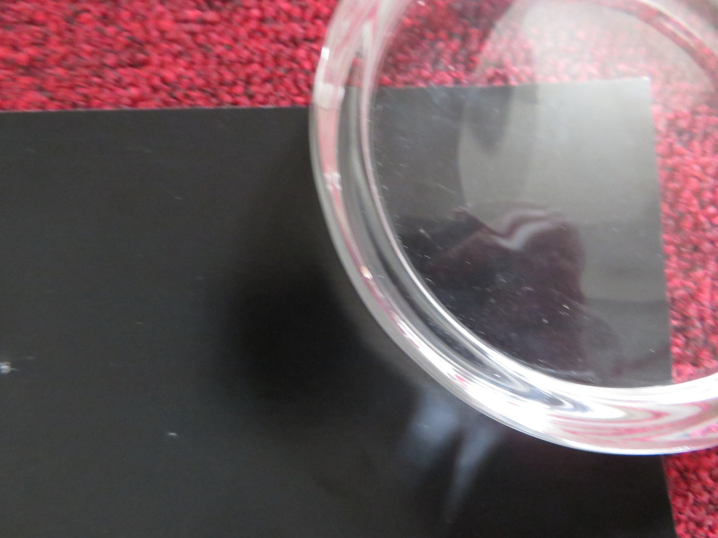 ANIMAL KINGDOM UK QUAD (30"x 40") ROLLED POSTER JOEL EDGERTON B. MENDELSOHN 2010 - Rendezvous Cinema