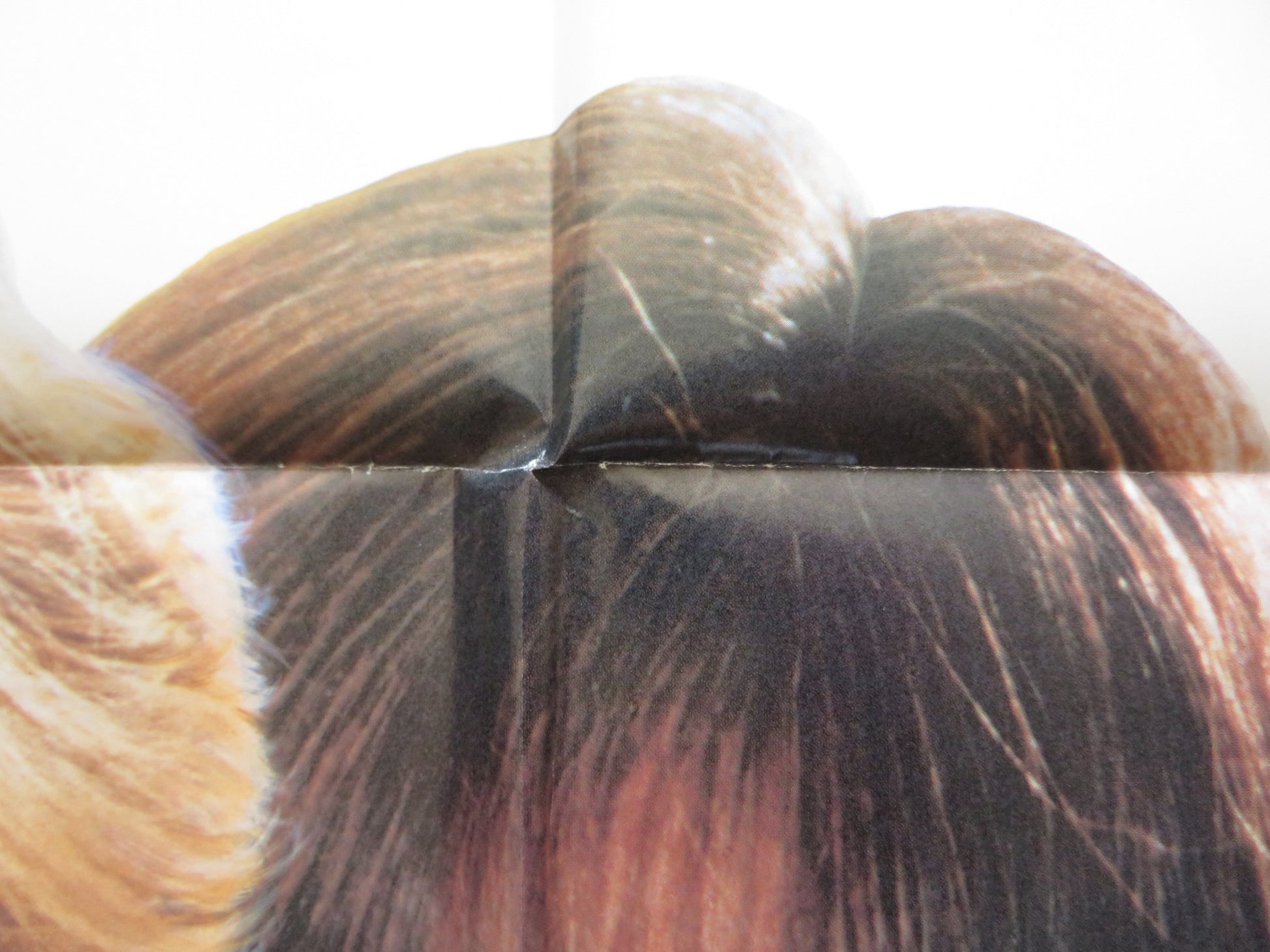 FEDS FOLDED US ONE SHEET POSTER REBECCA DE MORNAY MARY GROSS 1988 - Rendezvous Cinema