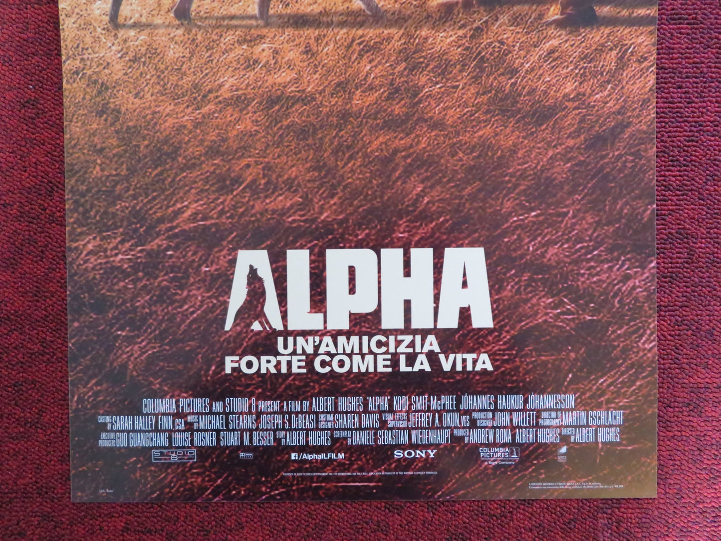 ALPHA ITALIAN LOCANDINA POSTER KODI SMIT-MCPHEE JOHANNES HAUKUR JOHANNESSON 2018 - Rendezvous Cinema