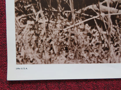 THE AFRICAN LION FOLDED US ONE SHEET POSTER DISNEY WINSTON HIBLER 1972 - Rendezvous Cinema