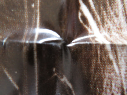 THE AFRICAN LION FOLDED US ONE SHEET POSTER DISNEY WINSTON HIBLER 1972 - Rendezvous Cinema