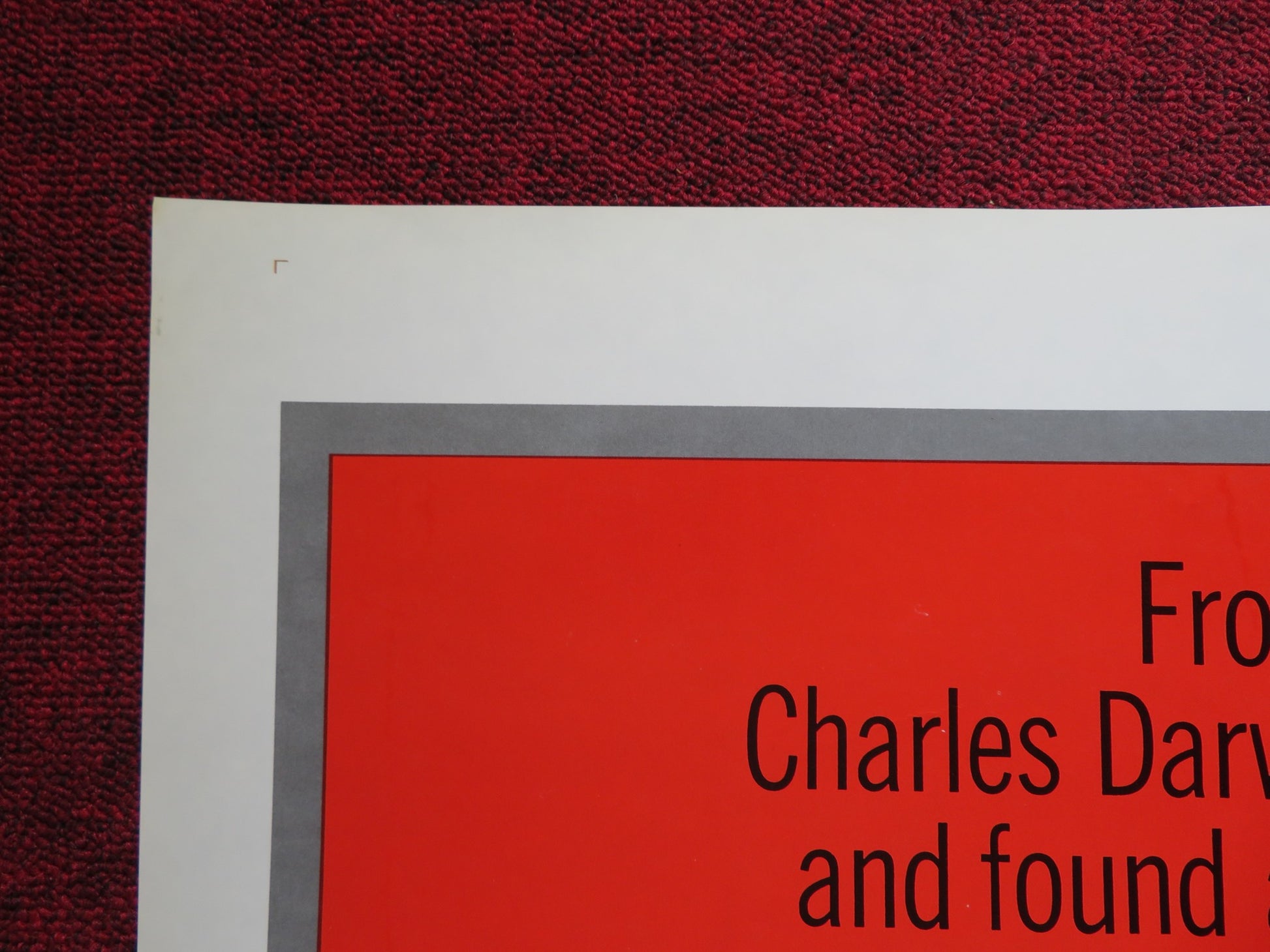 THE DARWIN ADVENTURE - STYLE B FOLDED US ONE SHEET POSTER NICHOLAS CLAY 1972 - Rendezvous Cinema