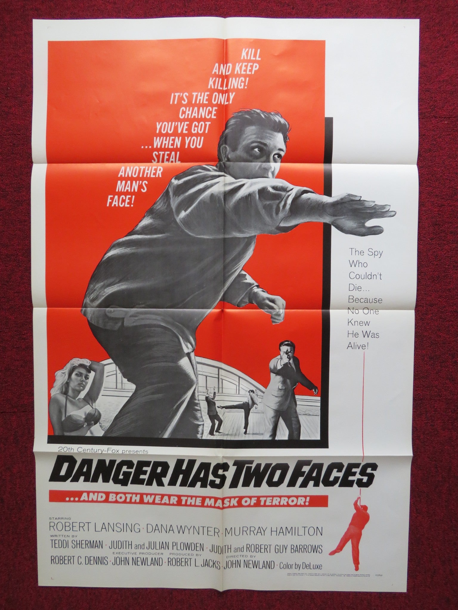 DANGER HAS TWO FACES FOLDED US ONE SHEET POSTER ROBERT LANSING DANA WYNTER 1967 - Rendezvous Cinema