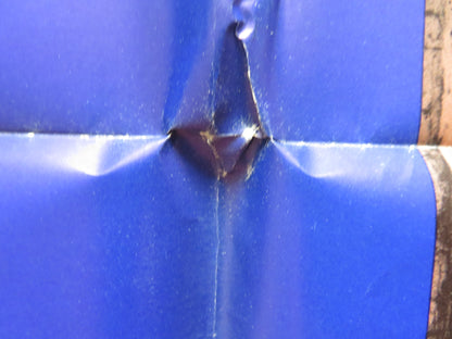 THE WALKING STICK FOLDED US ONE SHEET POSTER DAVID HEMMINGS SAMANTHA EGGAR 1970 - Rendezvous Cinema