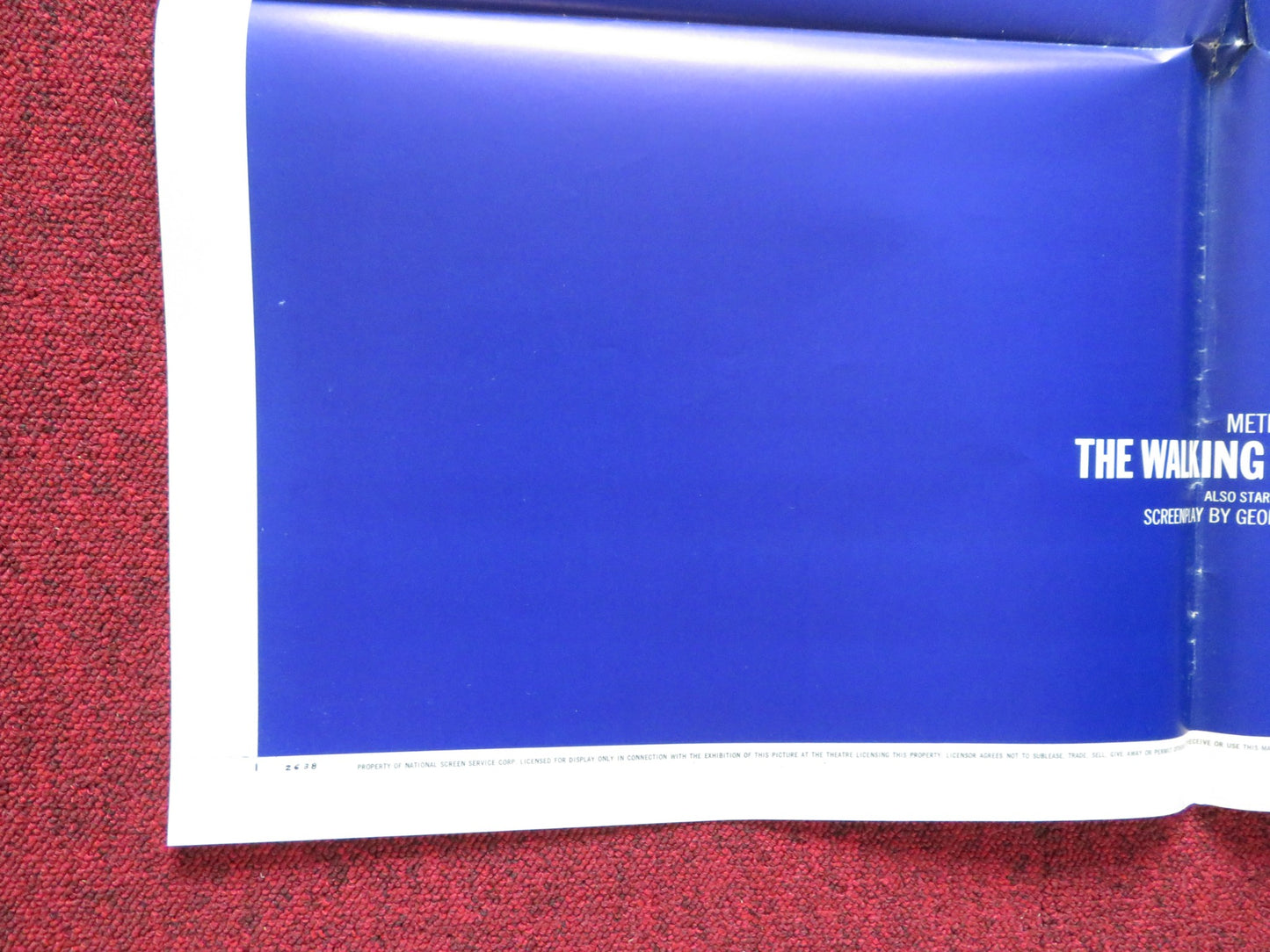 THE WALKING STICK FOLDED US ONE SHEET POSTER DAVID HEMMINGS SAMANTHA EGGAR 1970 - Rendezvous Cinema