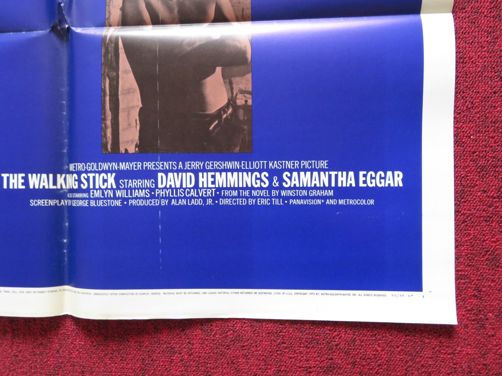 THE WALKING STICK FOLDED US ONE SHEET POSTER DAVID HEMMINGS SAMANTHA EGGAR 1970 - Rendezvous Cinema