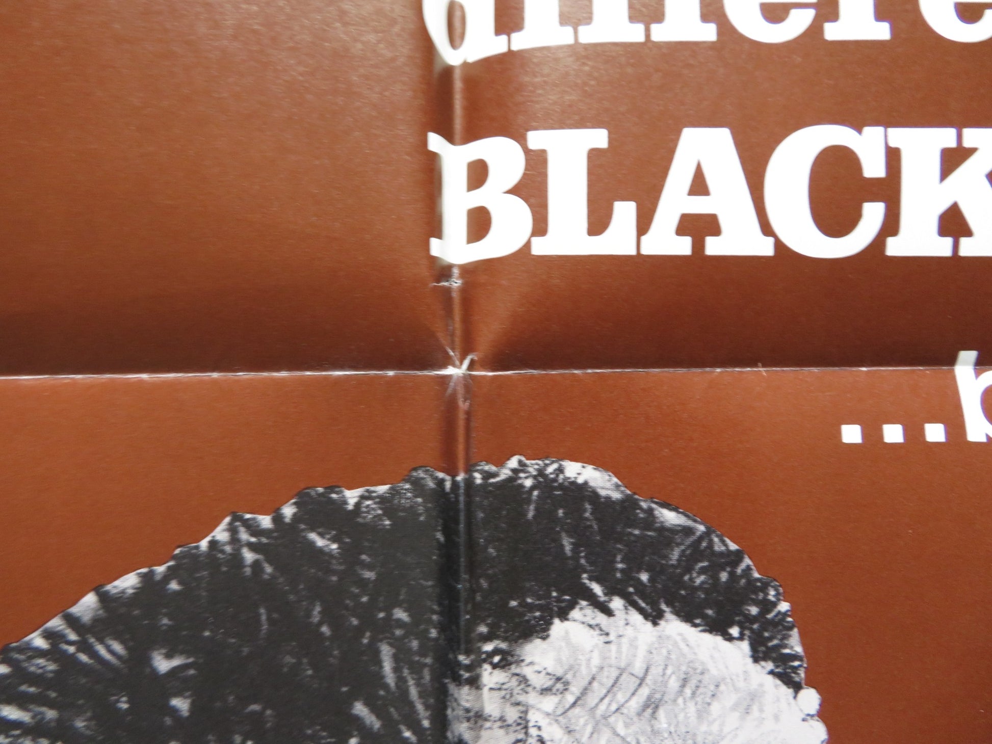 TWO GENTLEMEN SHARING FOLDED US ONE SHEET POSTER ROBIN PHILLIPS JUDY GEESON 1969 - Rendezvous Cinema