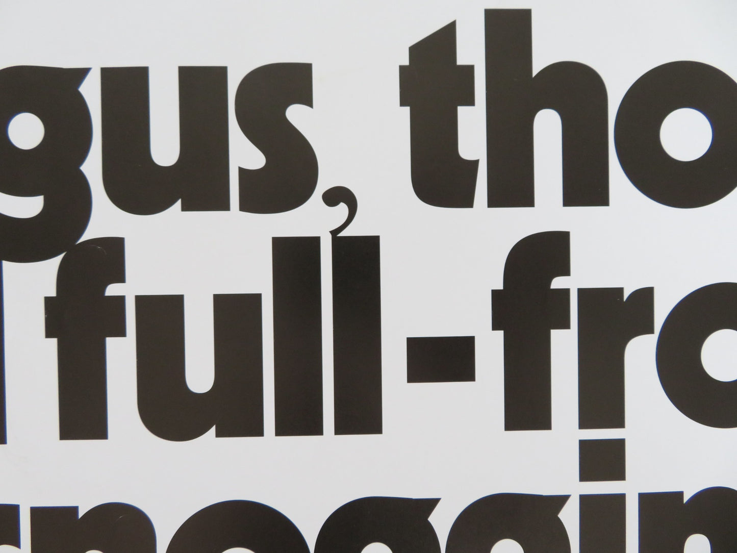 ANGUS, THONGS AND FULL-FRONTAL SNOGGING - B UK QUAD (30"x 40") ROLLED POSTER '08 - Rendezvous Cinema