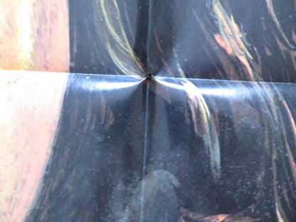 THE WILD CHILD FOLDED US ONE SHEET POSTER JEAN-PIERRE CARGOL 1970 - Rendezvous Cinema