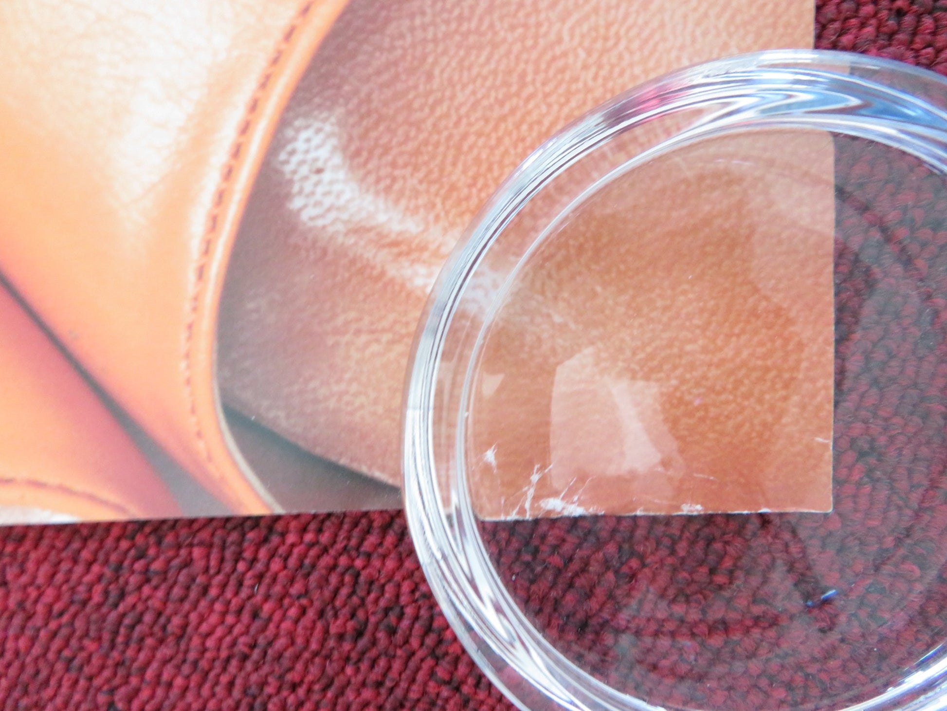 ANGUS, THONGS AND FULL-FRONTAL SNOGGING - B UK QUAD (30"x 40") ROLLED POSTER '08 - Rendezvous Cinema