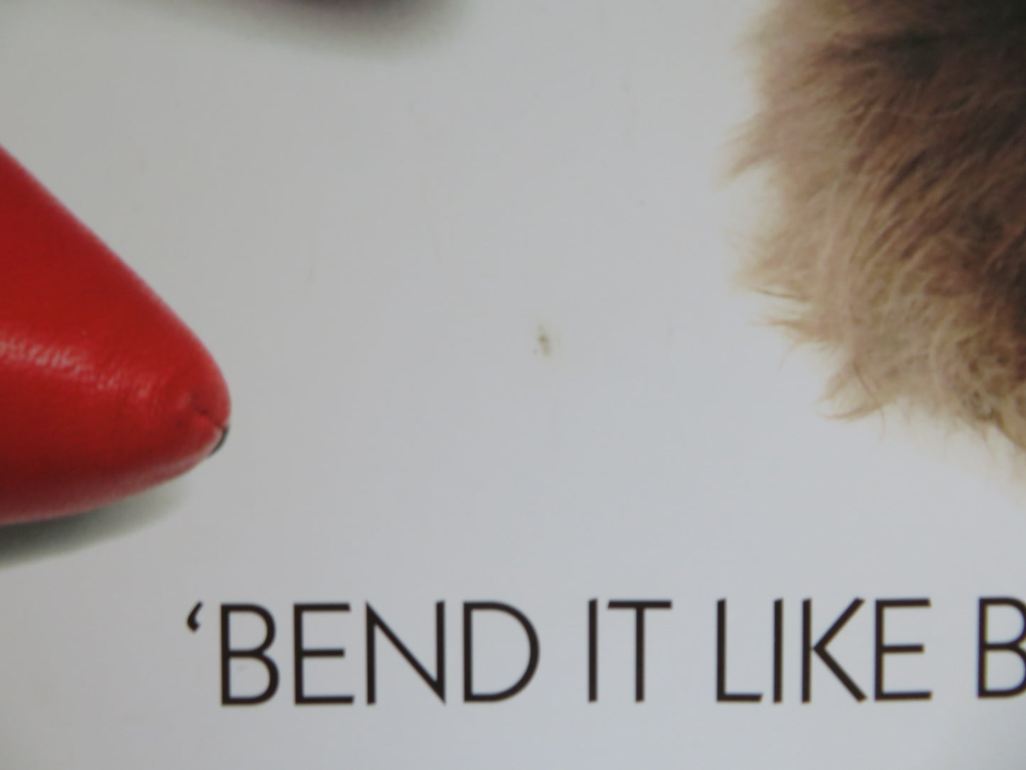 ANGUS, THONGS AND FULL-FRONTAL SNOGGING - B UK QUAD (30"x 40") ROLLED POSTER '08 - Rendezvous Cinema