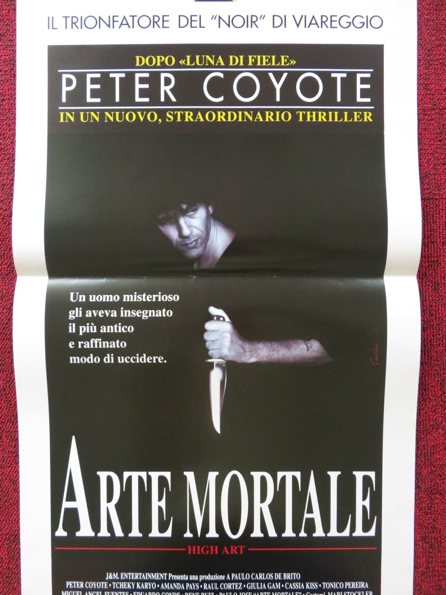 ARTE MORTALE ITALIAN LOCANDINA POSTER PETER COYOTE TCHEKY KARYO 1993 - Rendezvous Cinema