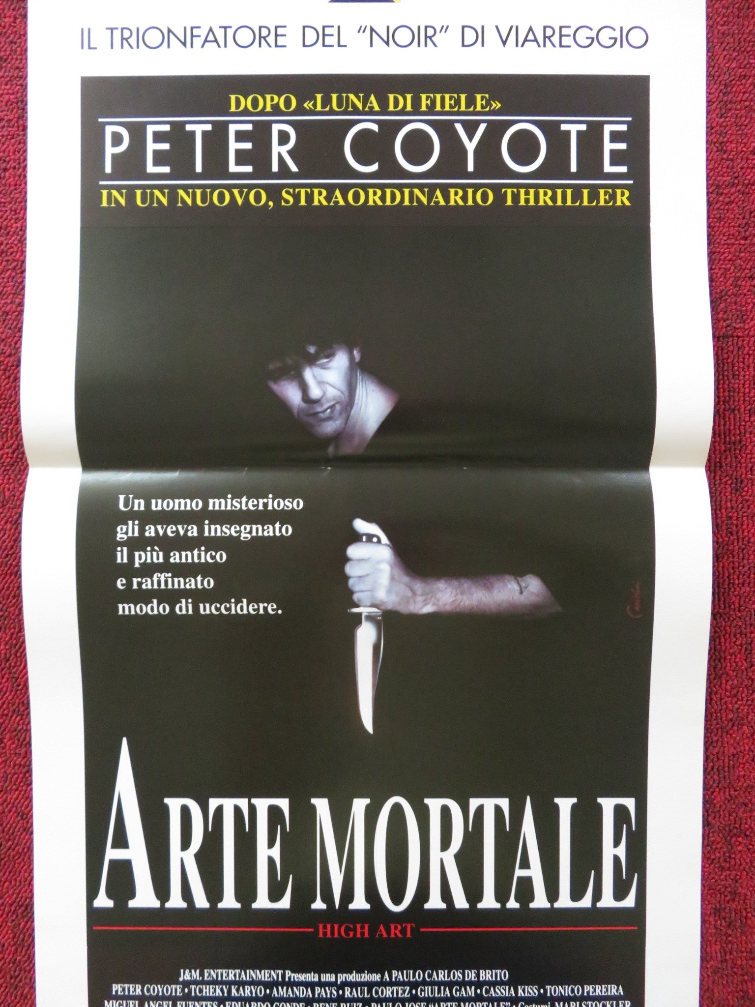 ARTE MORTALE ITALIAN LOCANDINA POSTER PETER COYOTE TCHEKY KARYO 1993 - Rendezvous Cinema