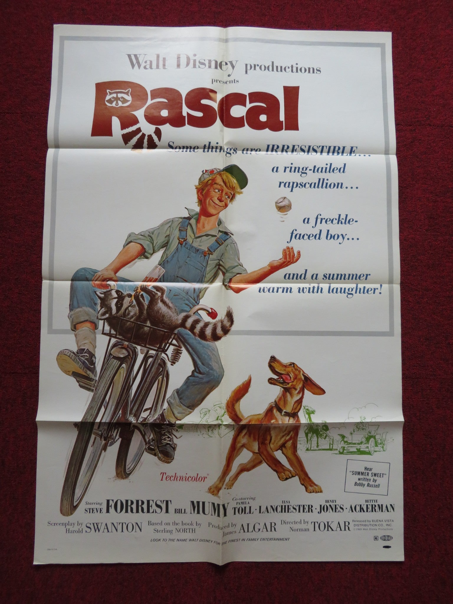 RASCAL FOLDED US ONE SHEET POSTER DISNEY STEVE FORREST BILL MUMY 1969 ...