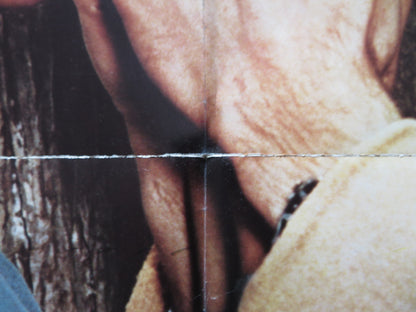 THE PROMISE STYLE B FOLDED US ONE SHEET POSTER KATHLEEN QUINLAN S. COLLINS 1979 - Rendezvous Cinema