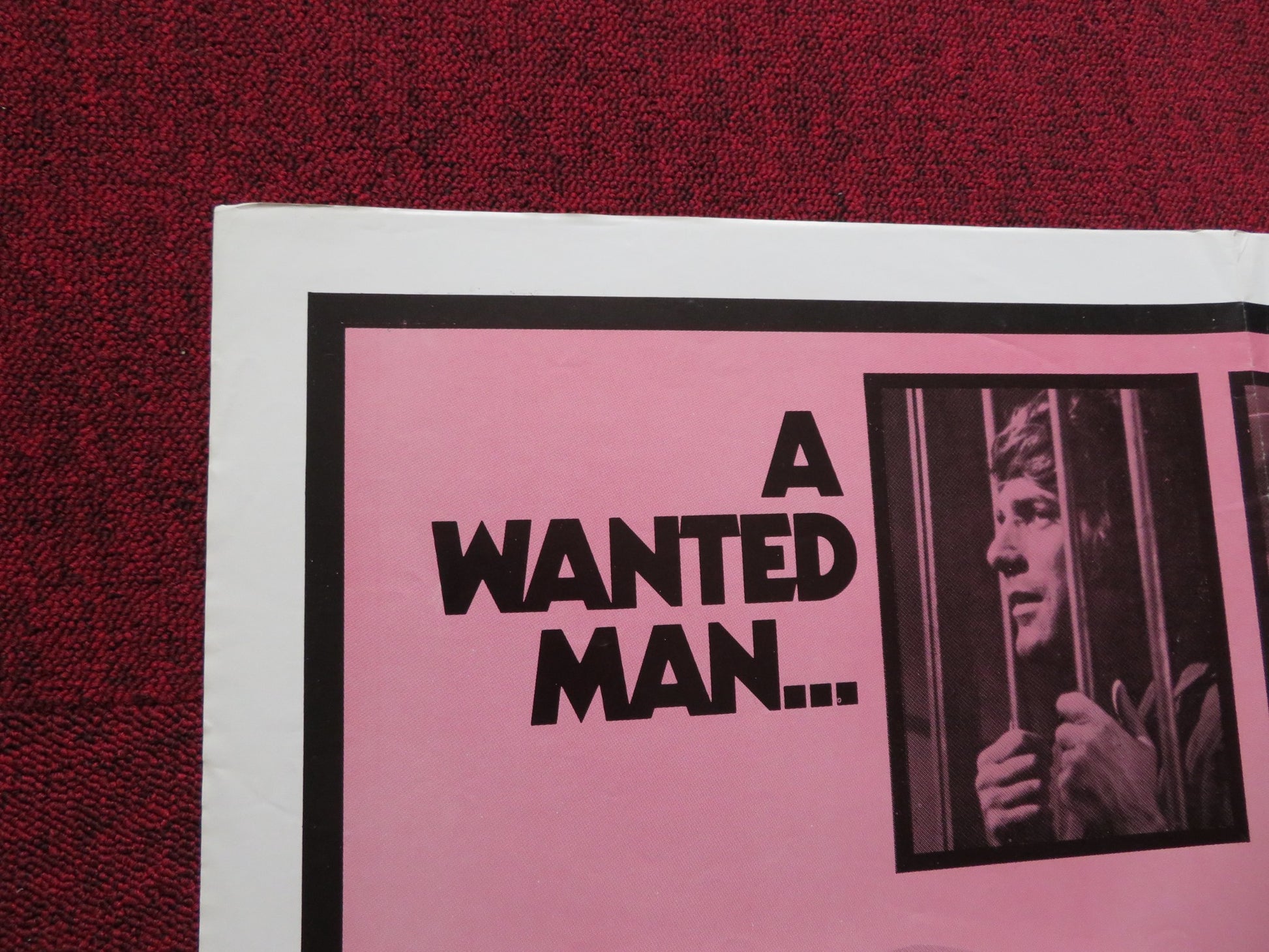 MOLLY & LAWLESS JOHN FOLDED US ONE SHEET POSTER VERA MILES 1972 - Rendezvous Cinema