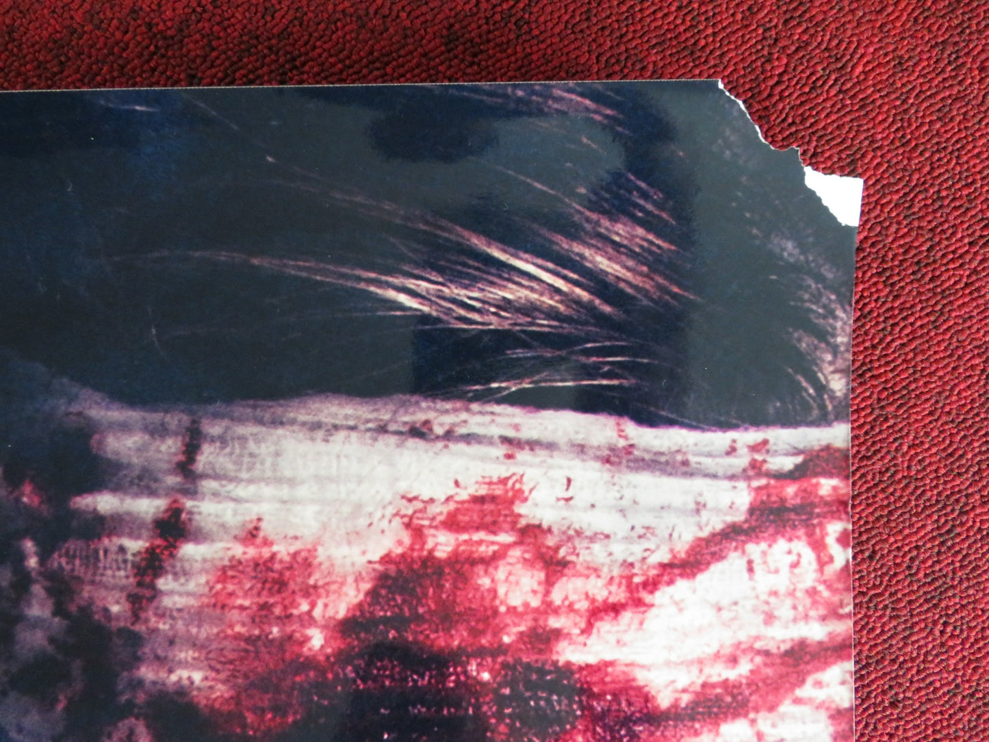 ANTISOCIAL UK ONE SHEET ROLLED POSTER MICHELLE MYLETT CODY RAY THOMPSON 2013 - Rendezvous Cinema