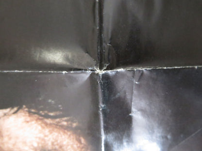 LOBO SALVAJE FOLDED MEXICAN POSTER MIGUEL ANGEL RODRIGUEZ 1985 - Rendezvous Cinema