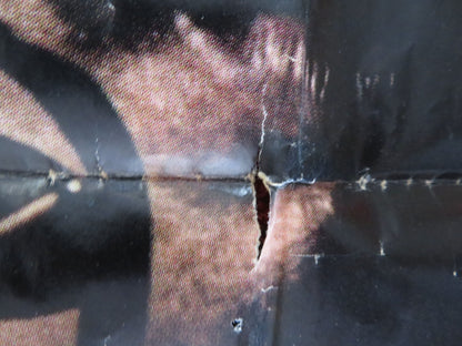 LOBO SALVAJE FOLDED MEXICAN POSTER MIGUEL ANGEL RODRIGUEZ 1985 - Rendezvous Cinema