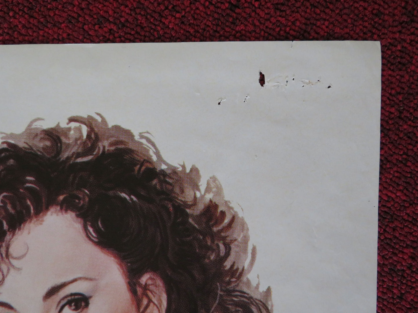 EL JARDIN DE LA PAZ FOLDED MEXICAN POSTER ALBERTO PEDRET MARTHA ROTH 1989 - Rendezvous Cinema