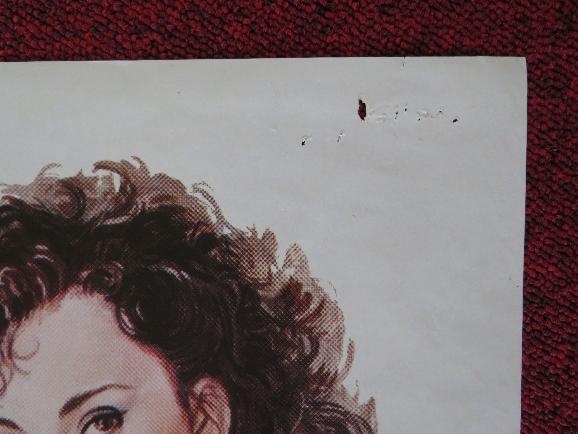 EL JARDIN DE LA PAZ FOLDED MEXICAN POSTER ALBERTO PEDRET MARTHA ROTH 1989 - Rendezvous Cinema