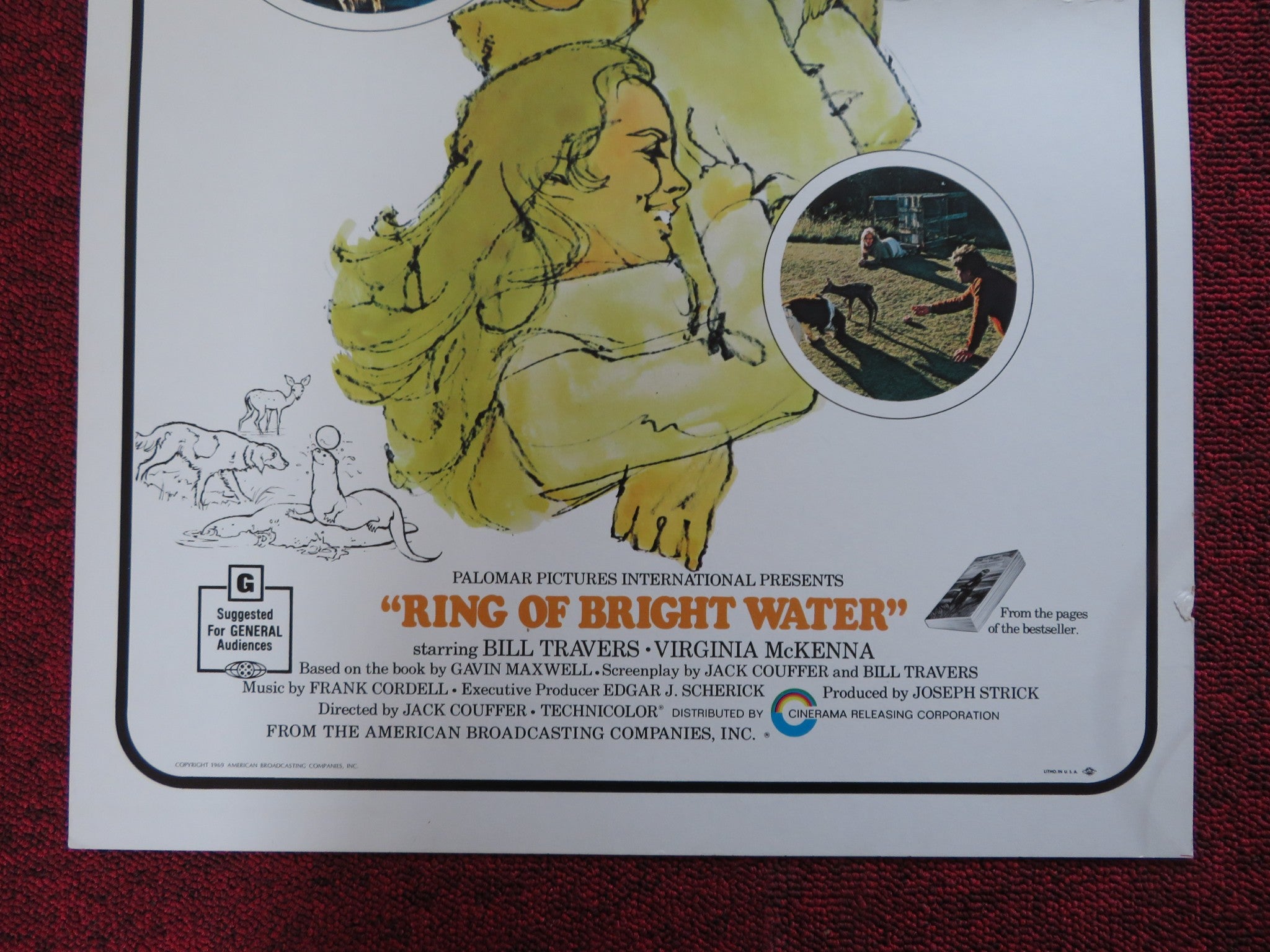 Where to stream Ring of Bright Water (1969) online? Comparing 50+ Streaming  Services – The Streamable