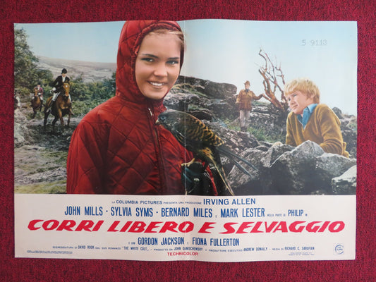 CORRI LIBERO E SELVAGGIO B ITALIAN FOTOBUSTA POSTER JOHN MILLS SYLVIA SYMS 1970 - Rendezvous Cinema