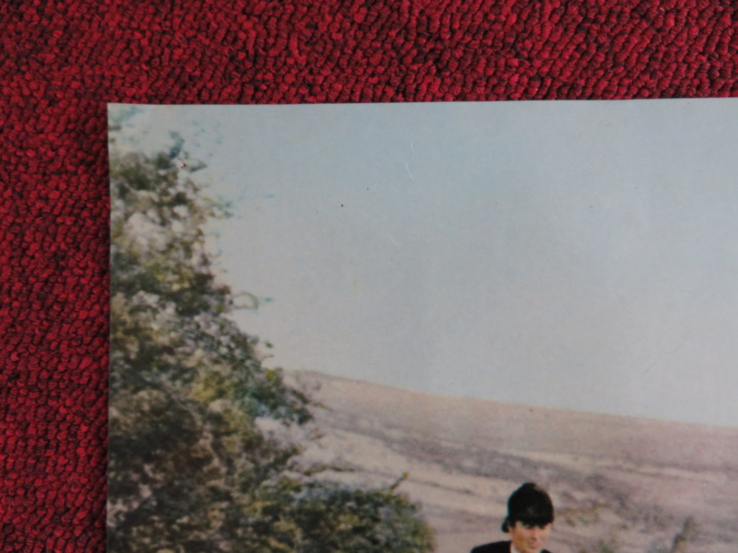 CORRI LIBERO E SELVAGGIO B ITALIAN FOTOBUSTA POSTER JOHN MILLS SYLVIA SYMS 1970 - Rendezvous Cinema