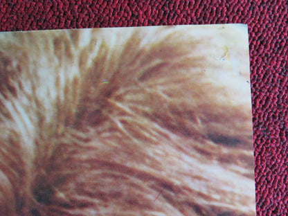 AMORE AMARO ITALIAN FOTOBUSTA POSTER LISA GASTONI LEONARD MANN 1974 - Rendezvous Cinema