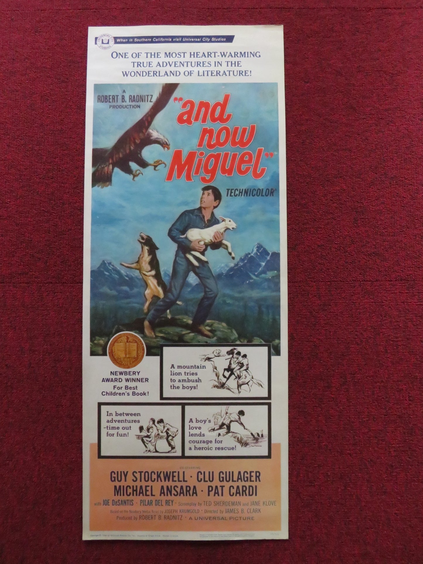 AND NOW MIGUEL US INSERT (14"x 36") POSTER PAT CARDI MICHAEL ANSARA 1966 - Rendezvous Cinema